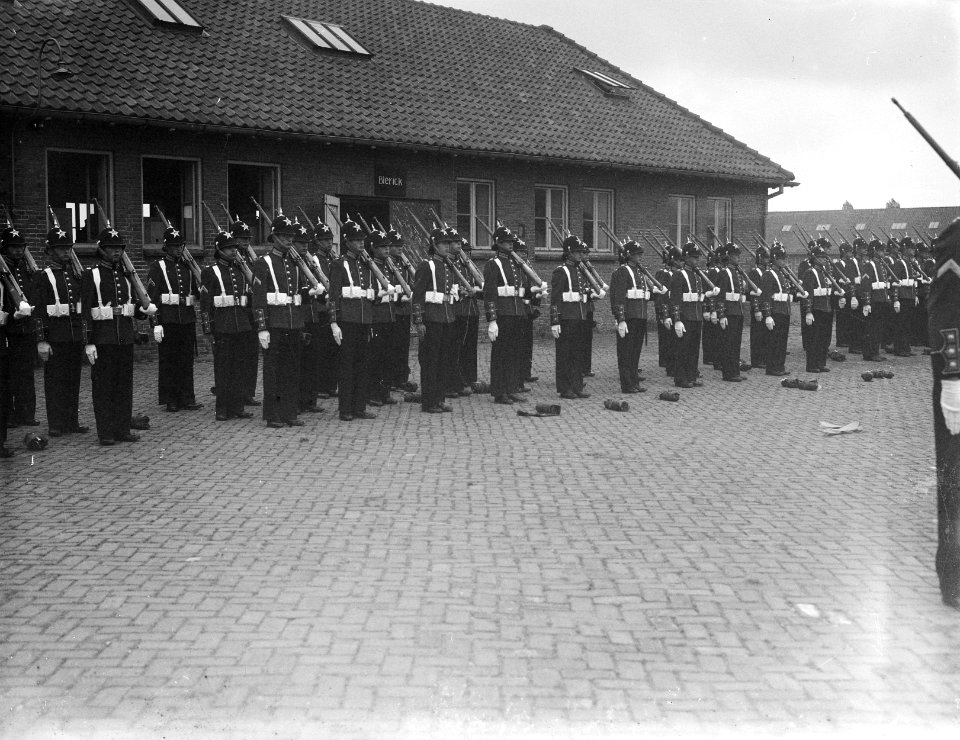 Gardetroepen in gala-uniformen. Groep Irene Brigade, Bestanddeelnr 902-9922