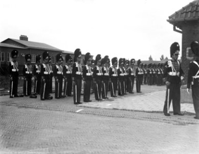Gardetroepen in gala-uniformen. Groep Grenadiers, Bestanddeelnr 902-9923