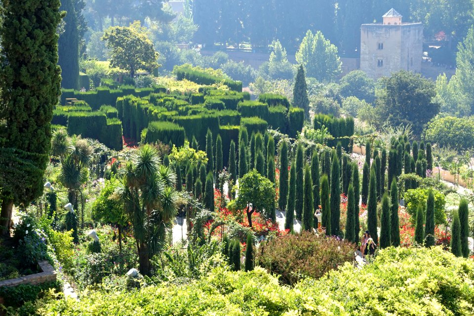 Gardens in Generalife - Alhambra, Granada, Spain - DSC07867