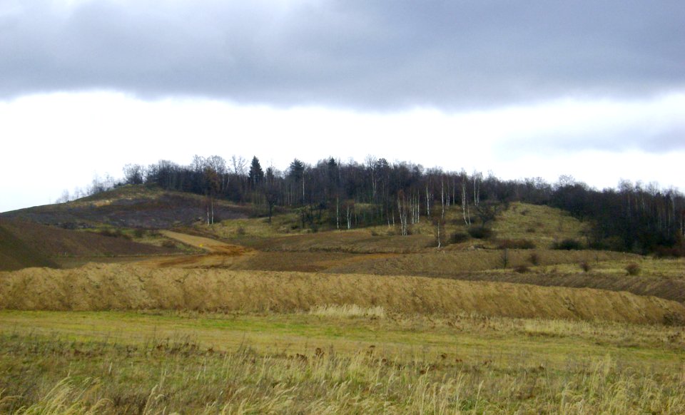 Gardzień mit