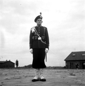 Gardetroepen in gala-uniformen. 1 Jager, Bestanddeelnr 902-9895