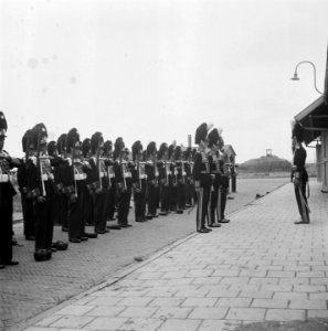 Gardetroepen in gala-uniformen. Groep Grenadiers, Bestanddeelnr 902-9917