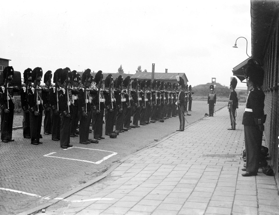 Gardetroepen in gala-uniformen. Groep Grenadiers, Bestanddeelnr 902-9920