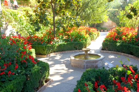 Gardens in Generalife - Granada, Spain - DSC07855