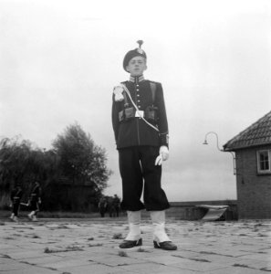 Gardetroepen in gala-uniformen. 1 Jager, Bestanddeelnr 902-9906