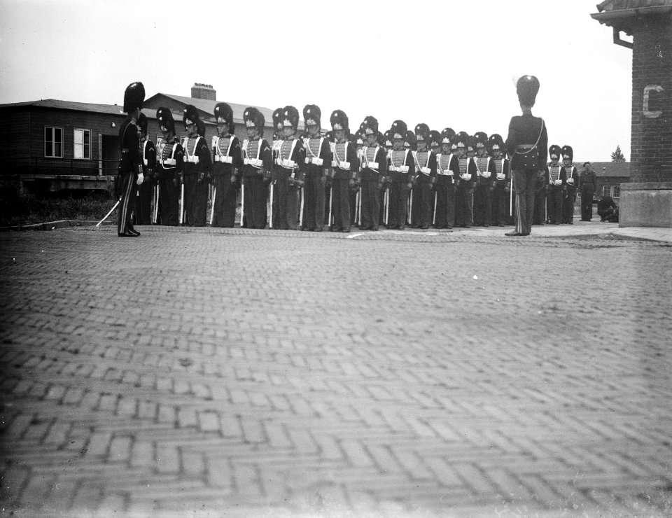 Gardetroepen in gala-uniformen. Groep Grenadiers, Bestanddeelnr 902-9921