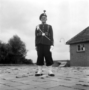 Gardetroepen in gala-uniformen. 1 Jager, Bestanddeelnr 902-9905