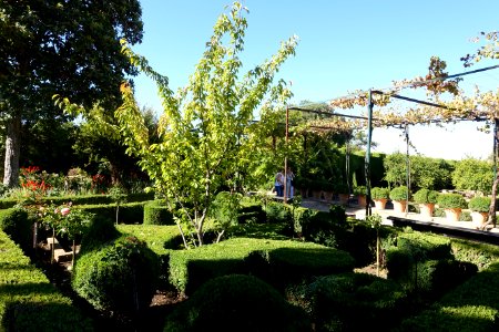 Gardens in Generalife - Alhambra, Granada, Spain - DSC07680