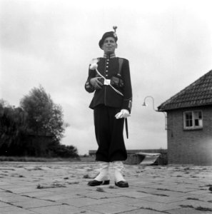 Gardetroepen in gala-uniformen. 1 Jager, Bestanddeelnr 902-9903