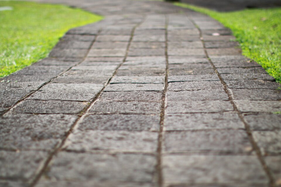 Pathway journey nature