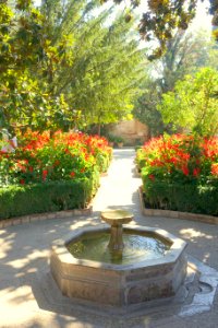Gardens in Generalife - Granada, Spain - DSC07853