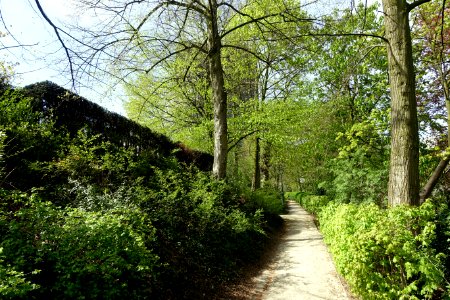 Gardens - La Cambre Abbey - Brussels, Belgium - DSC07917