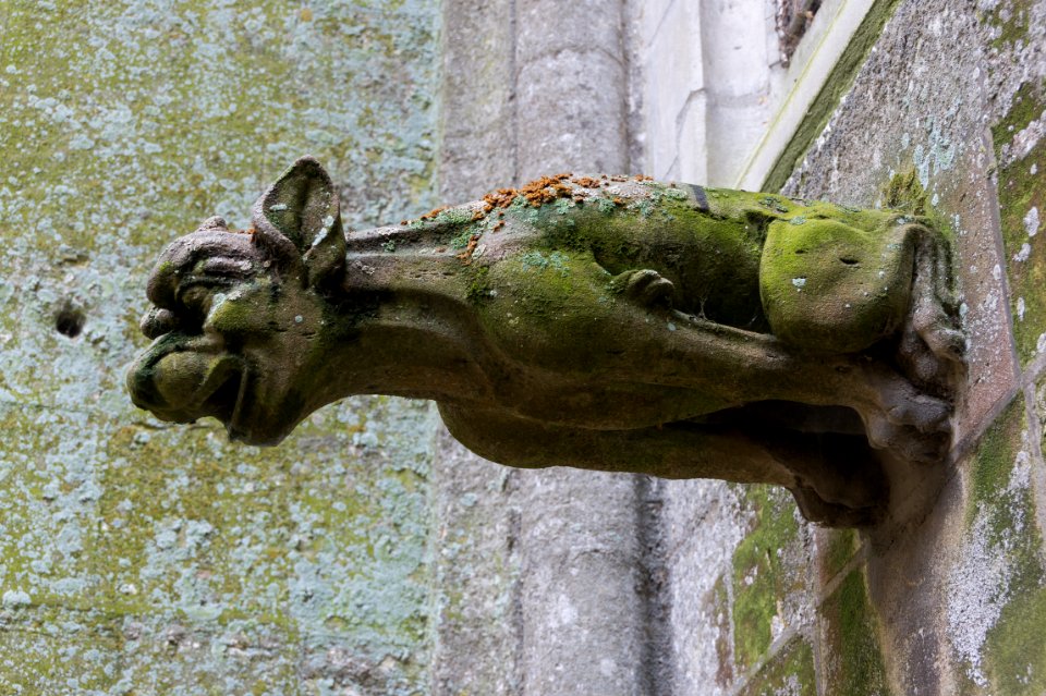 Gargoyle cathedral Bayeux