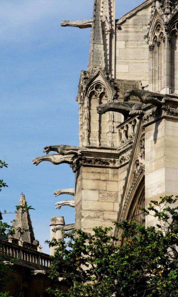 Gargouilles gargoyles Notre Dame de Paris