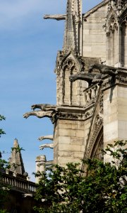 Gargouilles gargoyles Notre Dame de Paris photo