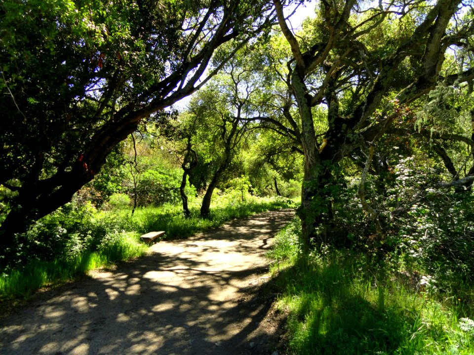 Garland Ranch Regional Park - Carmel Valley, CA - DSC06896