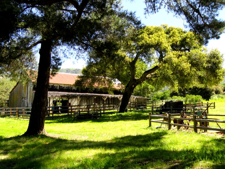 Garland Ranch Regional Park - Carmel Valley, CA - DSC06890