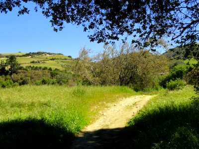 Garland Ranch Regional Park - Carmel Valley, CA - DSC06908