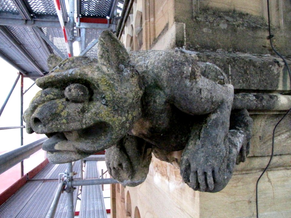 Gargouille de la tour sud de collégiale de Neuchâtel