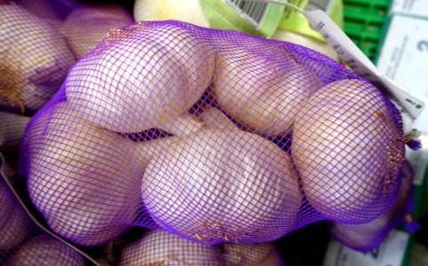 Garlic in purple netting 1 - Madrid, Spain - DSC08822 photo