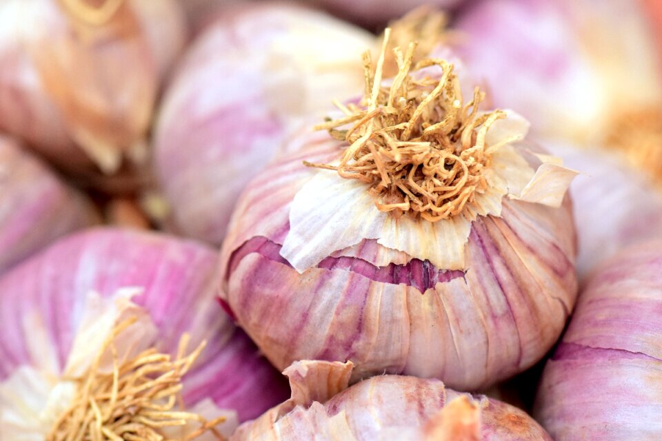 Cook healthy food