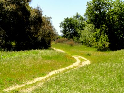 Garland Ranch Regional Park - Carmel Valley, CA - DSC06907