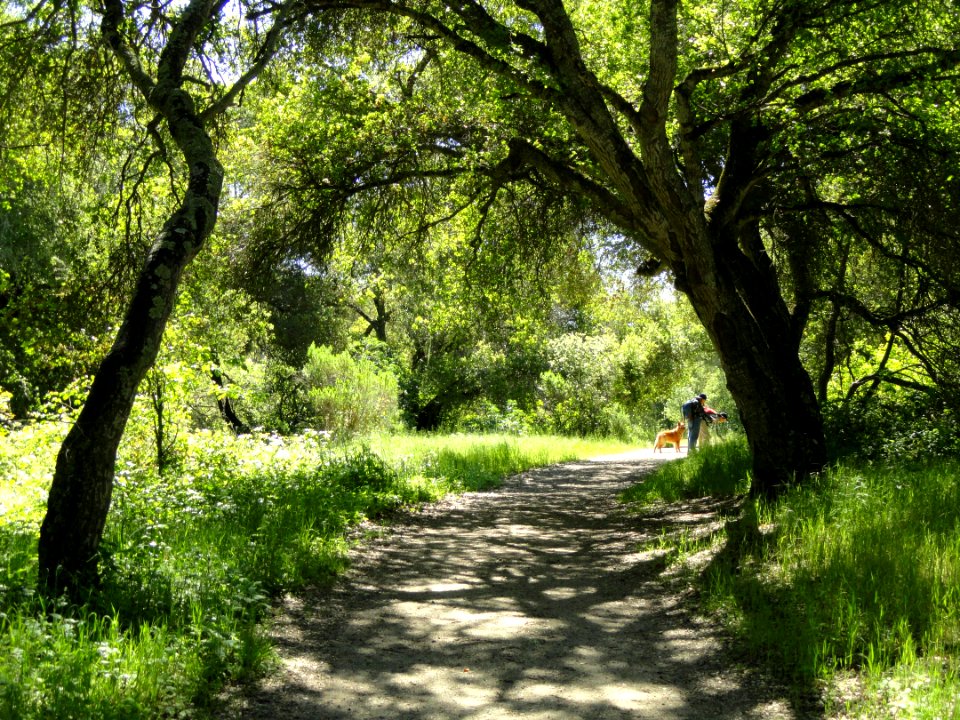 Garland Ranch Regional Park - Carmel Valley, CA - DSC06898
