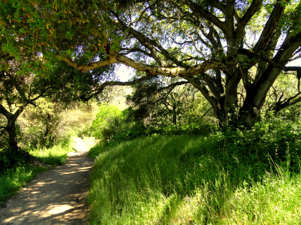 Garland Ranch Regional Park - Carmel Valley, CA - DSC06903