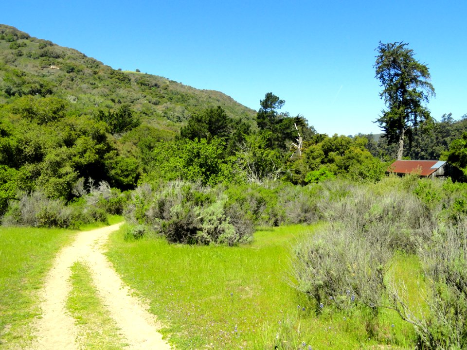 Garland Ranch Regional Park - Carmel Valley, CA - DSC06893