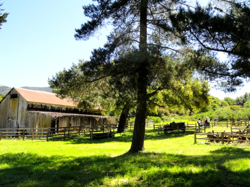 Garland Ranch Regional Park - Carmel Valley, CA - DSC06861