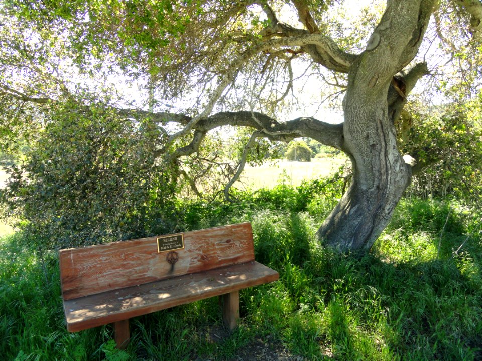 Garland Ranch Regional Park - Carmel Valley, CA - DSC06857