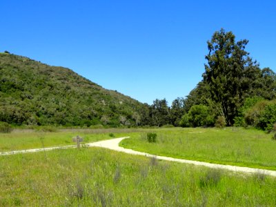 Garland Ranch Regional Park - Carmel Valley, CA - DSC06854