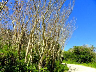 Garland Ranch Regional Park - Carmel Valley, CA - DSC06864