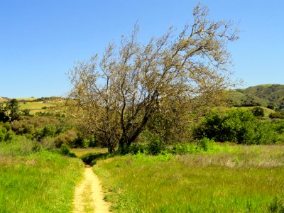 Garland Ranch Regional Park - Carmel Valley, CA - DSC06910