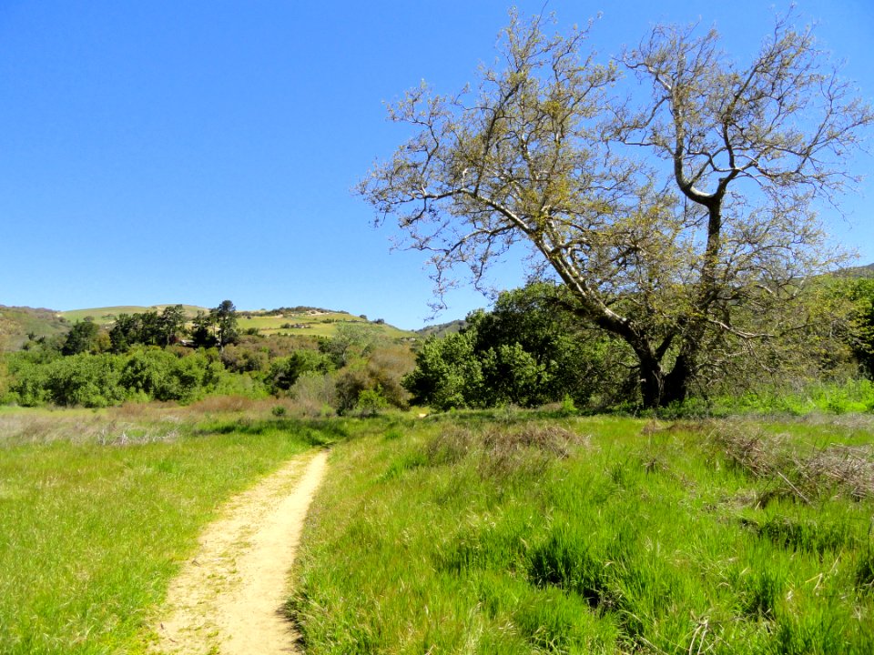 Garland Ranch Regional Park - Carmel Valley, CA - DSC06915