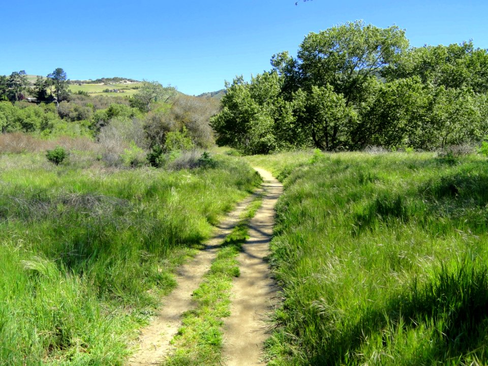 Garland Ranch Regional Park - Carmel Valley, CA - DSC06917