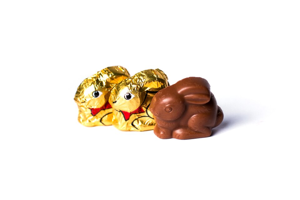 Easter bunny spring hare
