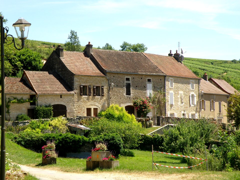 Gamay Rue de la Fontenotte