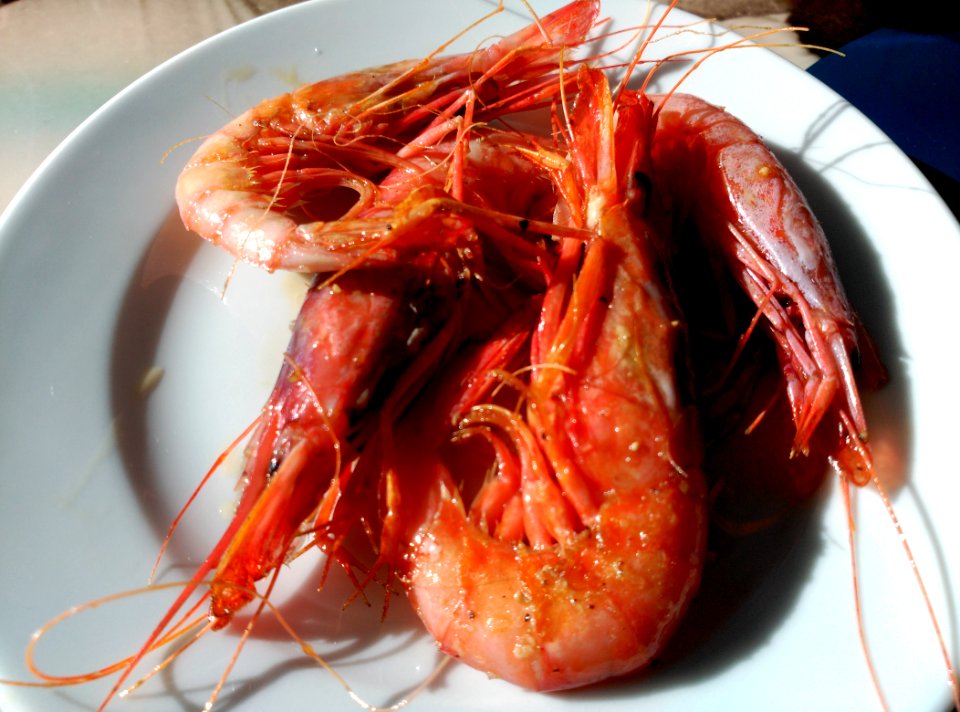 Gamba de Palamós cuita a la planxa
