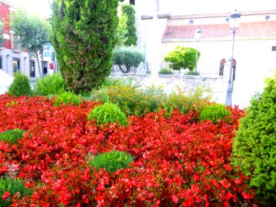 Galapagar - Plaza de la Constitución 2