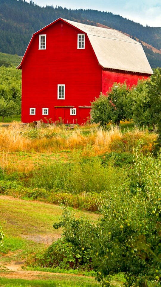 Red barn oregon