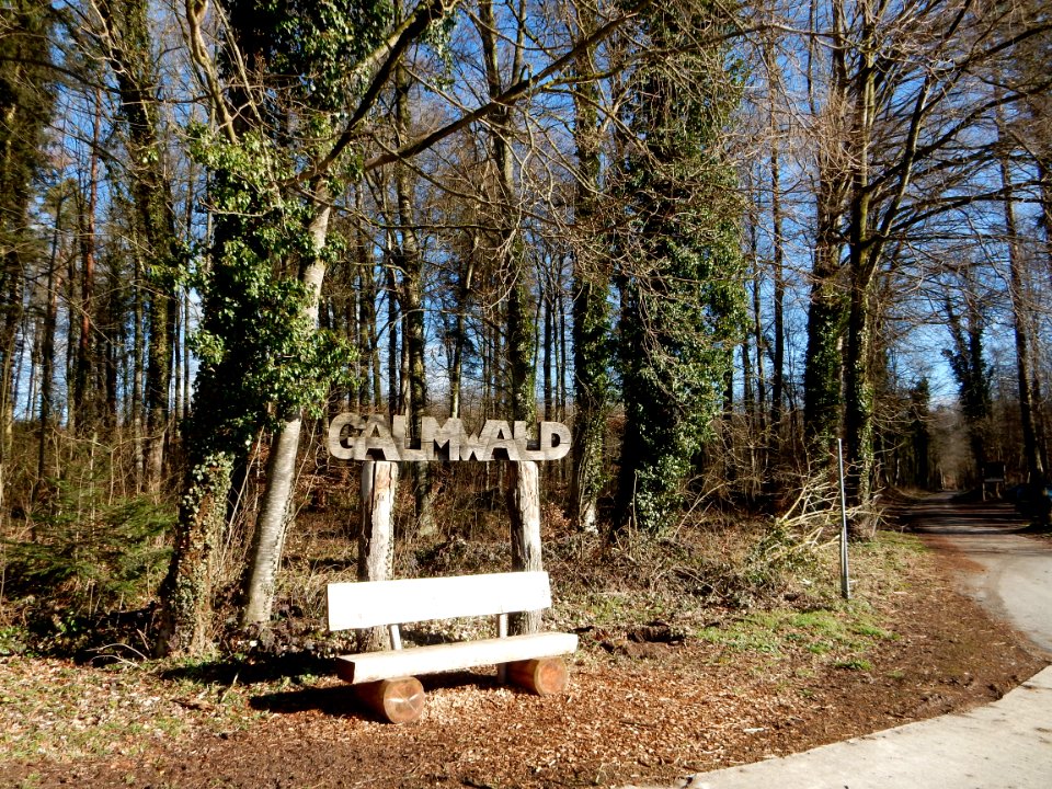 Galmwald beim Galmguet