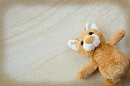 Stuffed bear furry teddy bear small