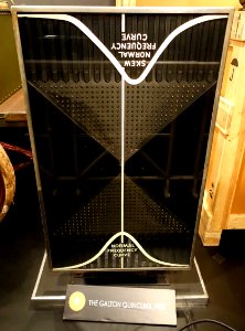 Galton Quincunx, 1933 - Museum of Science and Industry (Chicago) - DSC06712