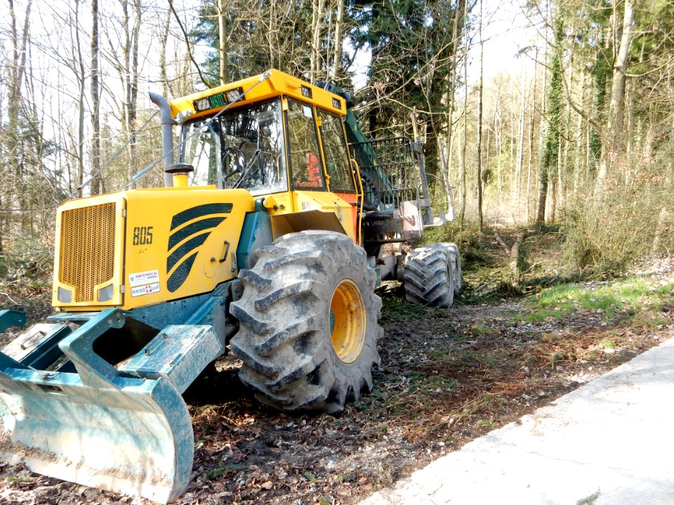 Galmwald 06