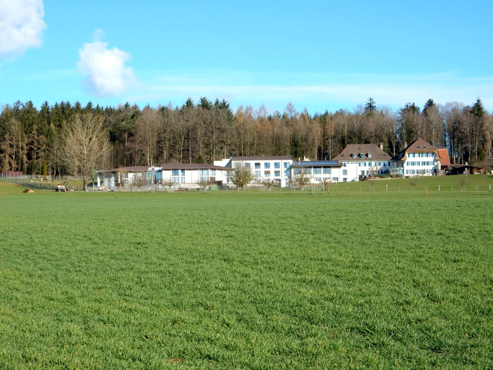 Galmguet vor dem Galmwald