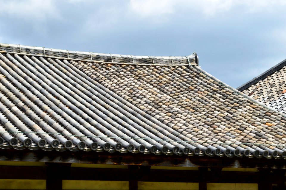 Gangoji, roof of zenshitsu-2