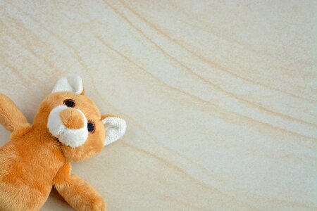Stuffed bear furry teddy bear small
