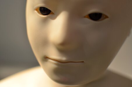Face artificial intelligence mimic