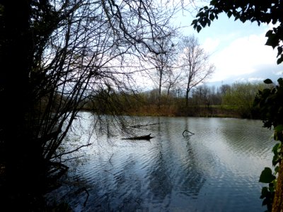 Gampriner Seele